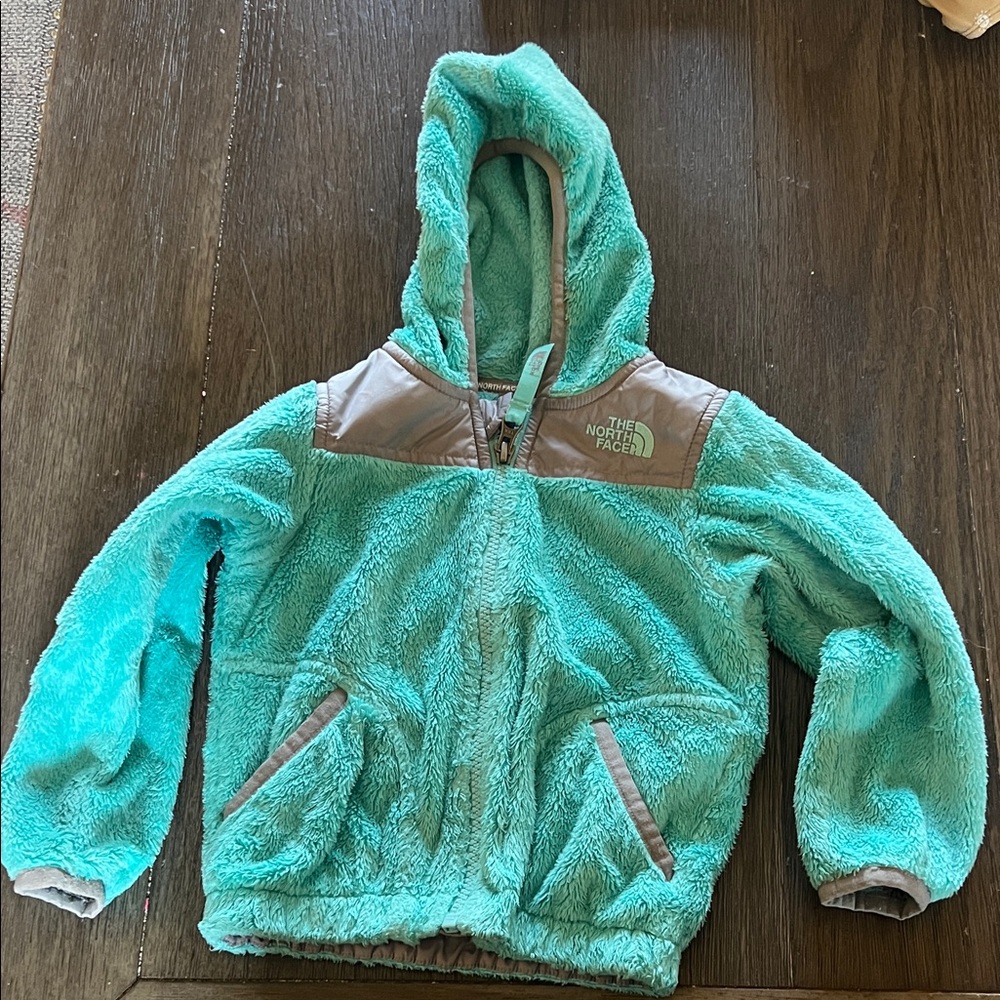 The North Face Kids' Aqua and Gray Fleece Hoodie